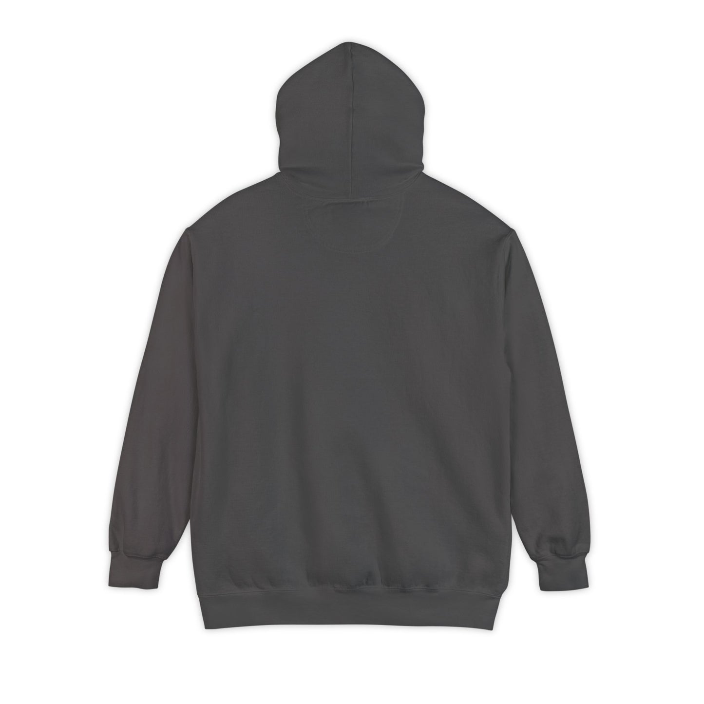 Alcheministry Labs Yin Yang Heavy Unisex Hoodie